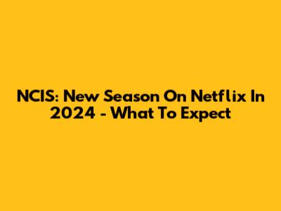 NCIS: New Season On Netflix In 2024 - What To Expect