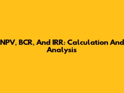NPV, BCR, And IRR: Calculation And Analysis