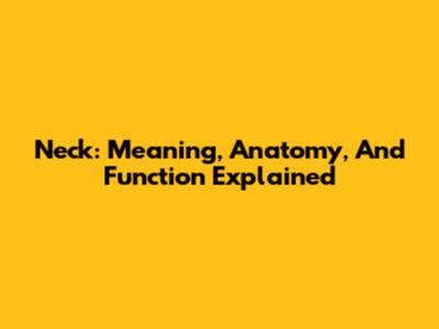 Neck: Meaning, Anatomy, And Function Explained