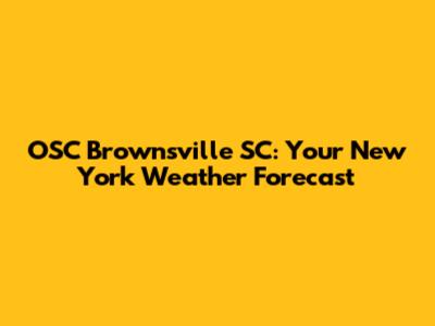 OSC Brownsville SC: Your New York Weather Forecast