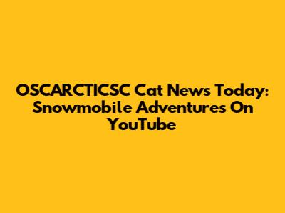 OSCARCTICSC Cat News Today: Snowmobile Adventures On YouTube