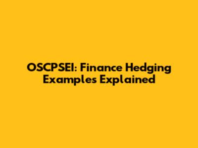 OSCPSEI: Finance Hedging Examples Explained