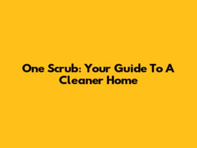 One Scrub: Your Guide To A Cleaner Home