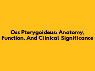 Oss Pterygoideus: Anatomy, Function, And Clinical Significance