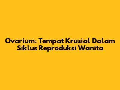 Ovarium: Tempat Krusial Dalam Siklus Reproduksi Wanita