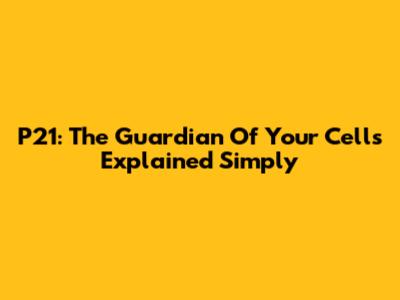 P21: The Guardian Of Your Cells Explained Simply