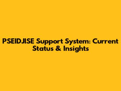 PSEIDJISE Support System: Current Status & Insights