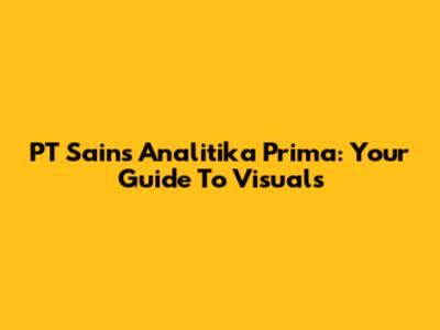 PT Sains Analitika Prima: Your Guide To Visuals