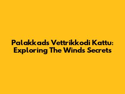 Palakkad's Vettrikkodi Kattu: Exploring The Wind's Secrets