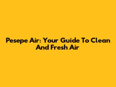 Pesepe Air: Your Guide To Clean And Fresh Air