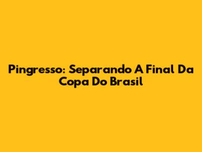 Pingresso: Separando A Final Da Copa Do Brasil