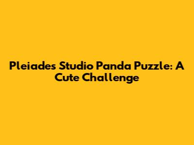 Pleiades Studio Panda Puzzle: A Cute Challenge