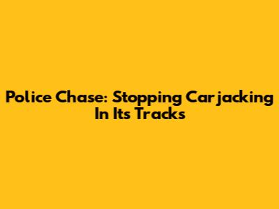 Police Chase: Stopping Carjacking In Its Tracks