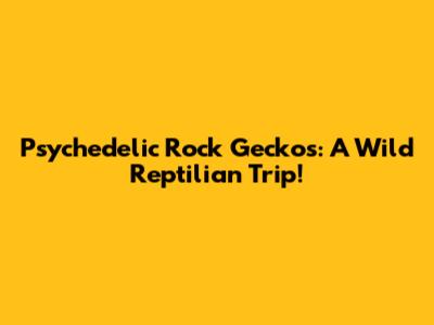 Psychedelic Rock Geckos: A Wild Reptilian Trip!