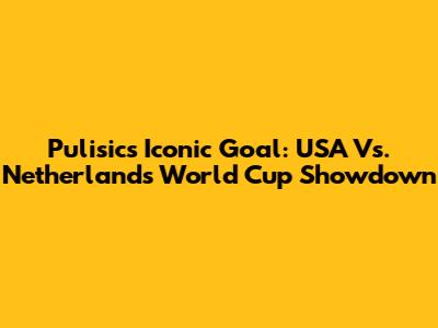 Pulisic's Iconic Goal: USA Vs. Netherlands World Cup Showdown