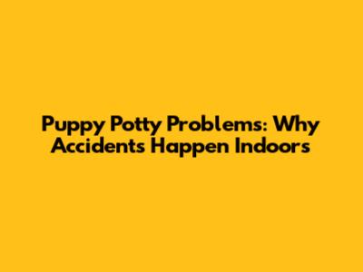 Puppy Potty Problems: Why Accidents Happen Indoors