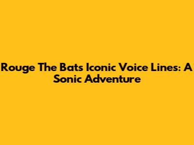 Rouge The Bat's Iconic Voice Lines: A Sonic Adventure