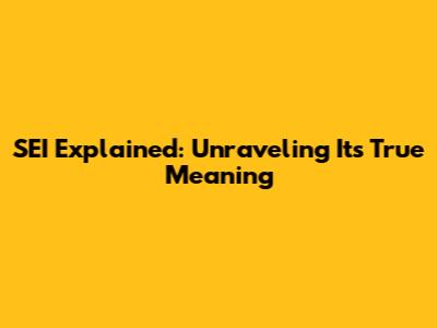 SEI Explained: Unraveling Its True Meaning