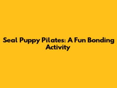 Seal Puppy Pilates: A Fun Bonding Activity