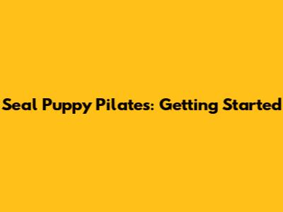 Seal Puppy Pilates: Getting Started