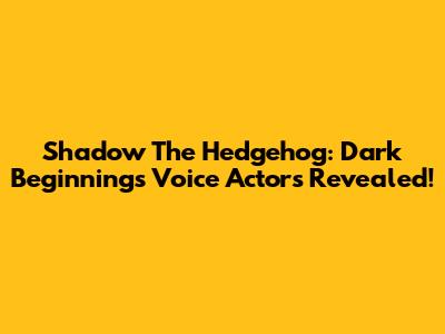 Shadow The Hedgehog: Dark Beginnings Voice Actors Revealed!