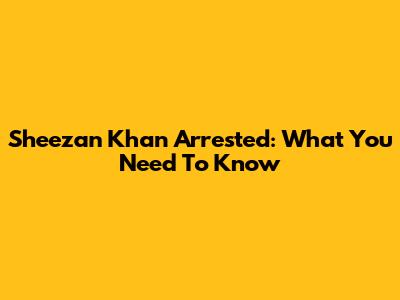 Sheezan Khan Arrested: What You Need To Know