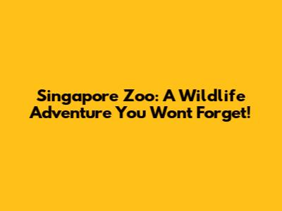 Singapore Zoo: A Wildlife Adventure You Won't Forget!