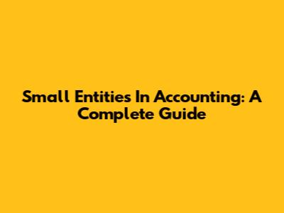 Small Entities In Accounting: A Complete Guide