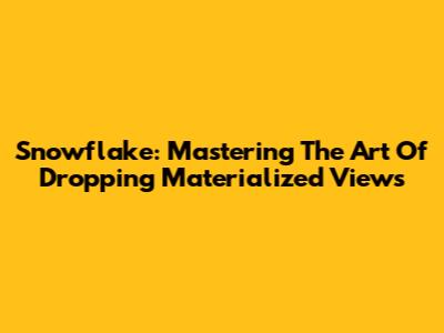 Snowflake: Mastering The Art Of Dropping Materialized Views