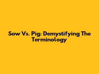 Sow Vs. Pig: Demystifying The Terminology