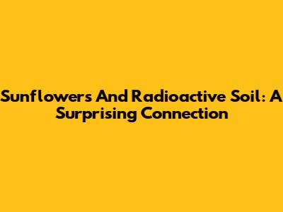 Sunflowers And Radioactive Soil: A Surprising Connection