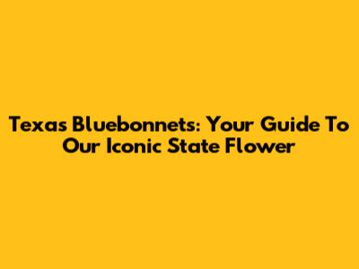 Texas Bluebonnets: Your Guide To Our Iconic State Flower