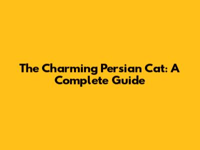 The Charming Persian Cat: A Complete Guide