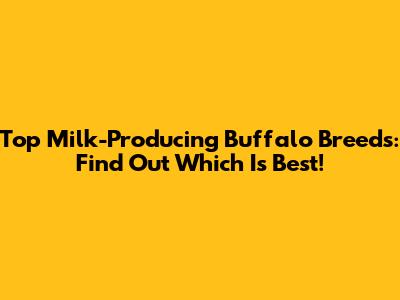 Top Milk-Producing Buffalo Breeds: Find Out Which Is Best!