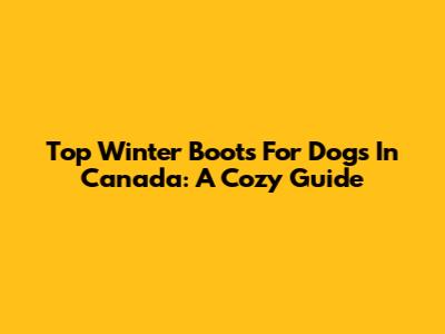 Top Winter Boots For Dogs In Canada: A Cozy Guide