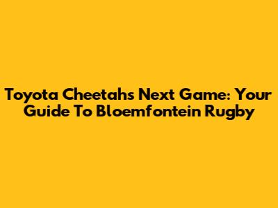 Toyota Cheetahs Next Game: Your Guide To Bloemfontein Rugby