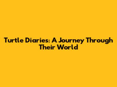 Turtle Diaries: A Journey Through Their World