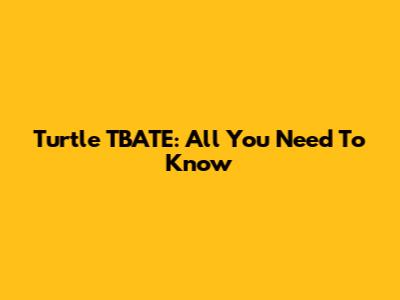 Turtle TBATE: All You Need To Know