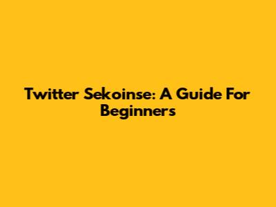 Twitter Sekoinse: A Guide For Beginners
