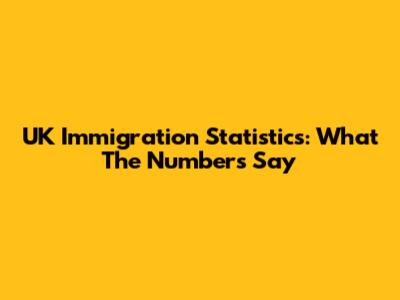 UK Immigration Statistics: What The Numbers Say