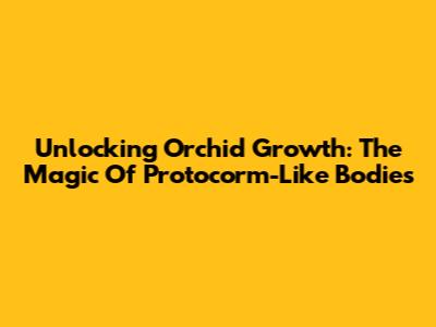Unlocking Orchid Growth: The Magic Of Protocorm-Like Bodies