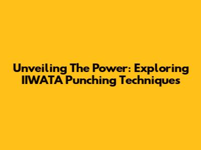 Unveiling The Power: Exploring IIWATA Punching Techniques