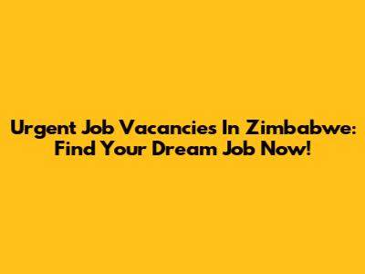 Urgent Job Vacancies In Zimbabwe: Find Your Dream Job Now!
