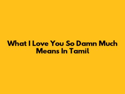 What "I Love You So Damn Much" Means In Tamil